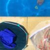 Sabine  le rond de piscine